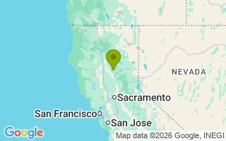 Google Map Image for Amicus