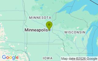 Google Map Image for Bear