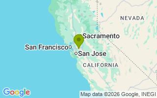 Google Map Image for Bear