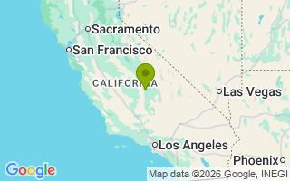 Google Map Image for Stitch