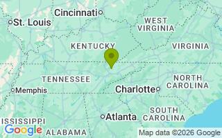 Google Map Image for Copper