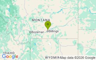 Google Map Image for Trigger