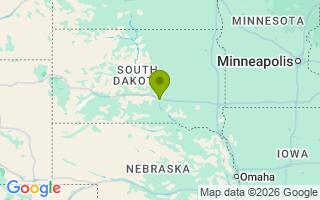 Google Map Image for Rookie