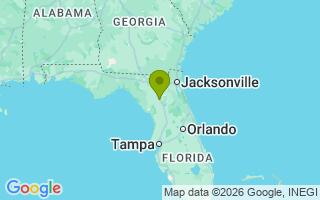 Google Map Image for Leo 