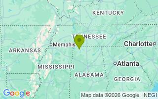 Google Map Image for Pickels