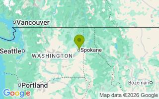 Google Map Image for Odin