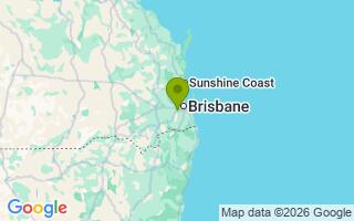 Google Map Image for Chief