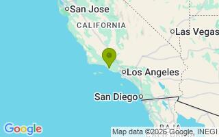 Google Map Image for Bear