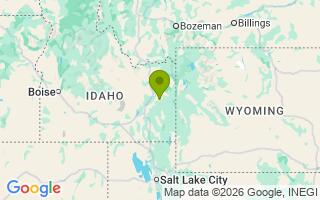 Google Map Image for Chief