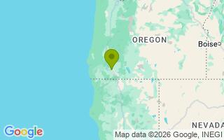 Google Map Image for Scout