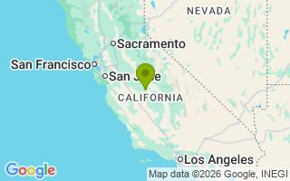 Google Map Image for Ollie 