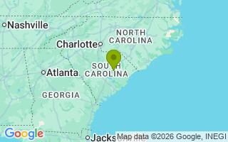 Google Map Image for Brady