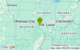 Google Map Image for Ice