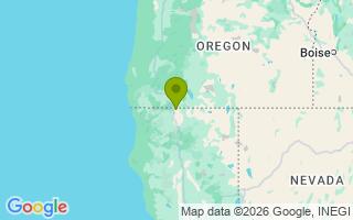 Google Map Image for Ruger