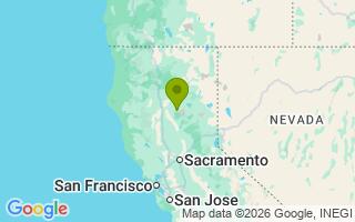 Google Map Image for Bear 