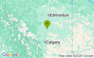 Google Map Image for Honey