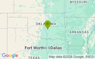 Google Map Image for Mojo