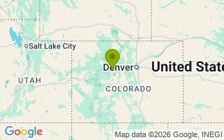 Google Map Image for Levi