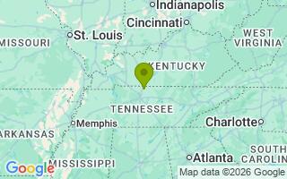Google Map Image for Ollie