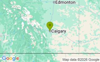Google Map Image for Goose