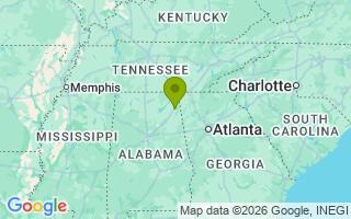 Google Map Image for Pongo