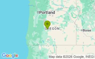 Google Map Image for Sasha