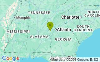 Google Map Image for Gator