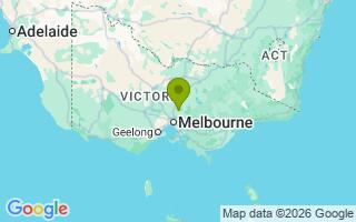 Google Map Image for Bear