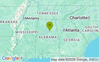 Google Map Image for Fletcher