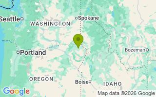 Google Map Image for Owsley