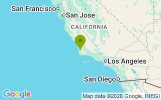 Google Map Image for Rollie