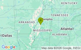 Google Map Image for Ace