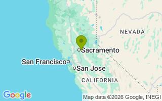 Google Map Image for Willow 