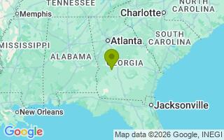 Google Map Image for Loki