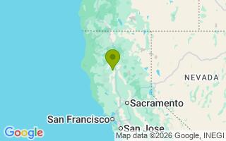 Google Map Image for Rex