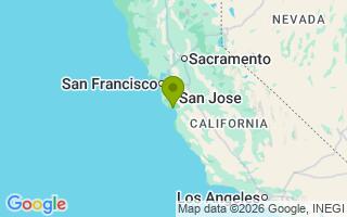 Google Map Image for Zico