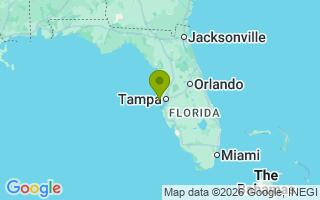 Google Map Image for Bear