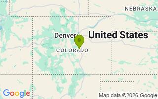 Google Map Image for Bear