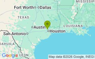 Google Map Image for Stevie