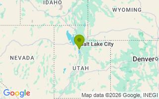 Google Map Image for Copper