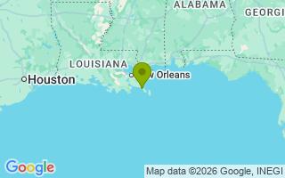 Google Map Image for Mouse