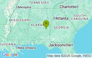 Google Map Image for Godzilla 