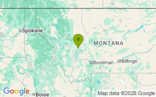 Google Map Image for Bear