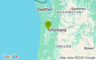 Google Map Image for Theo