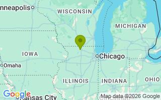 Google Map Image for Bear