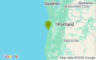 Google Map Image for Serious