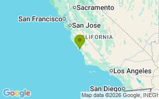 Google Map Image for Floof