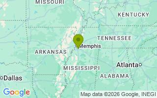 Google Map Image for Winston
