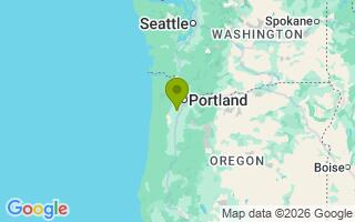Google Map Image for Tilee