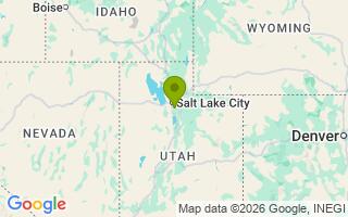 Google Map Image for Leo
